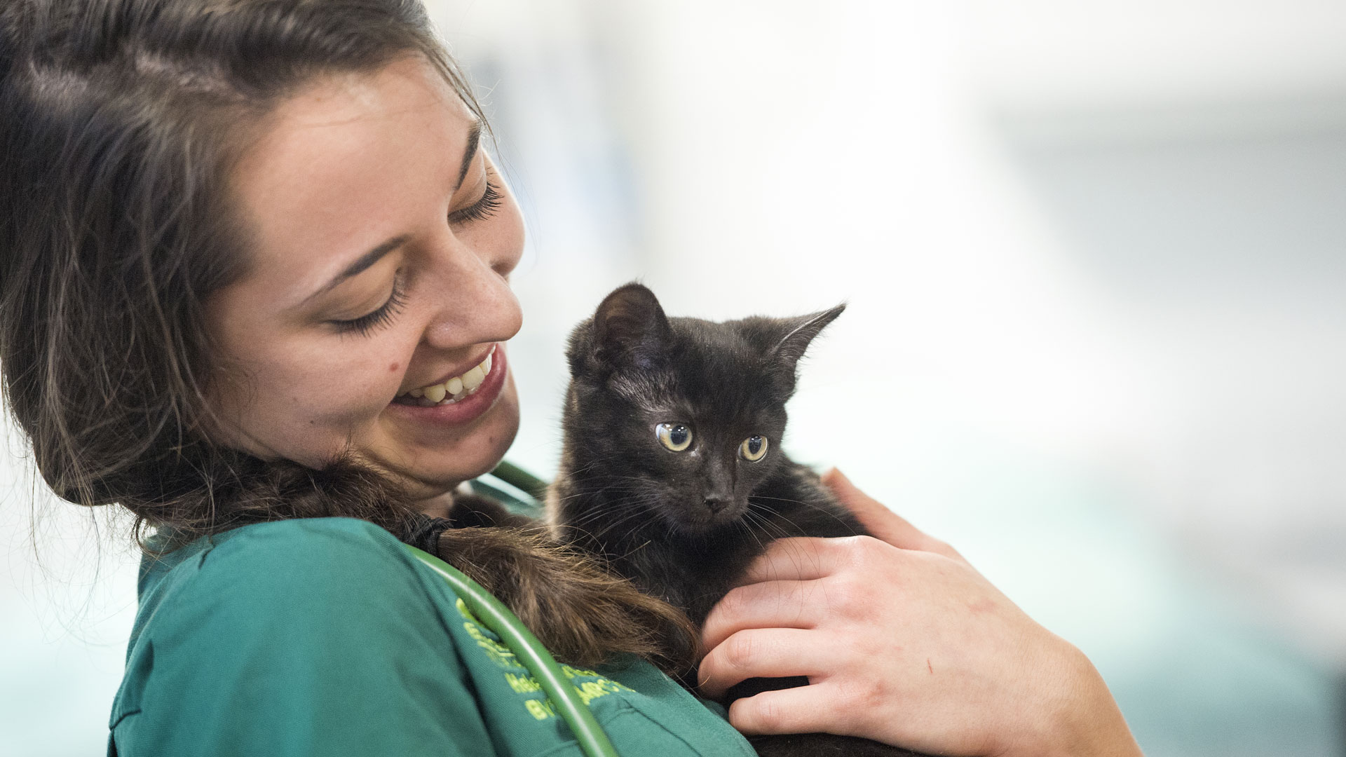 Behaviour Training Local Vets in Emersons Green Emersons Green