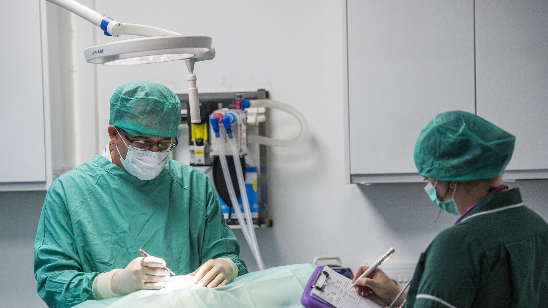 Out of Hours Vets Vets in Bristol Emersons Green Veterinary Surgery