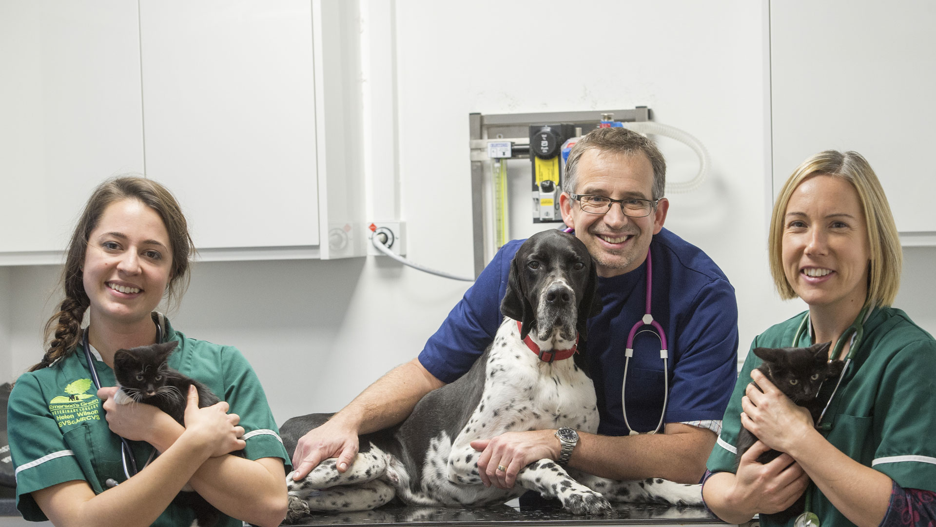 Meet the Team Local Vets in Emersons Green, Bristol Emersons Green