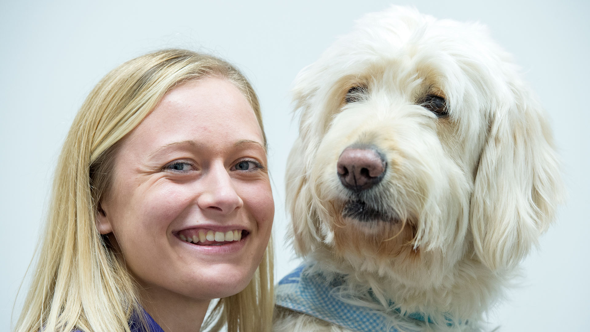 Offers Local Vets in Emersons Green Emersons Green Veterinary Surgery