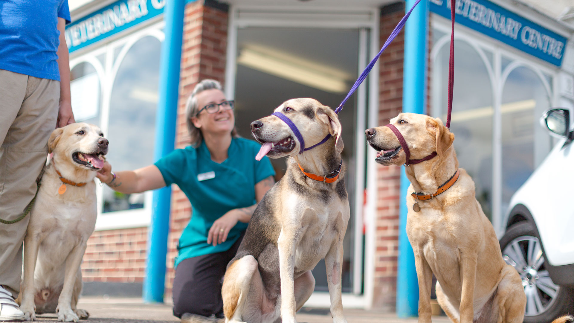 Blog Page from your Local Vets in Ashford, Kent - Eureka Vets