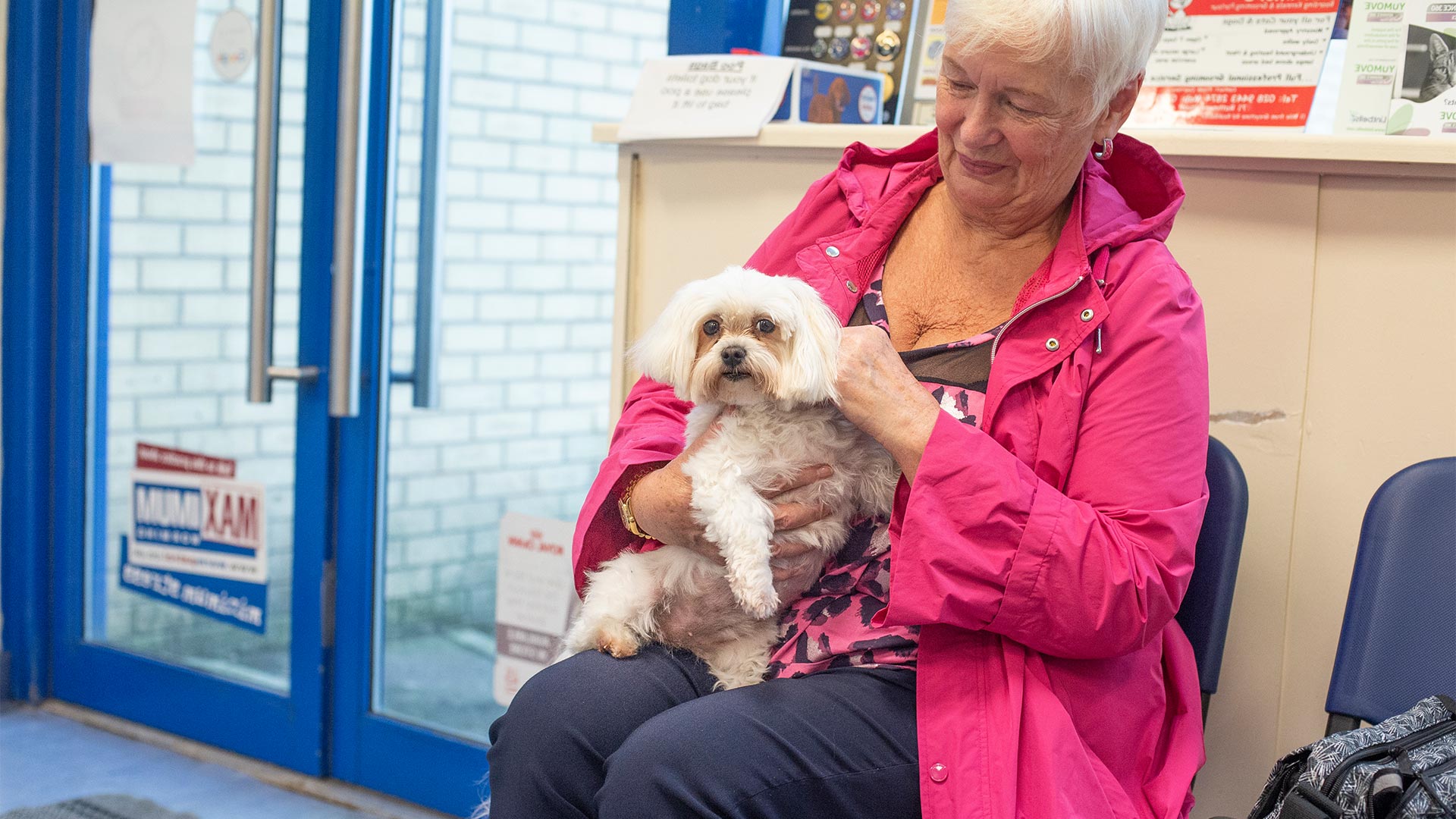 Veterinary Facilities | Local Vets in Ballymena And Antrim - Fenaghy Vets