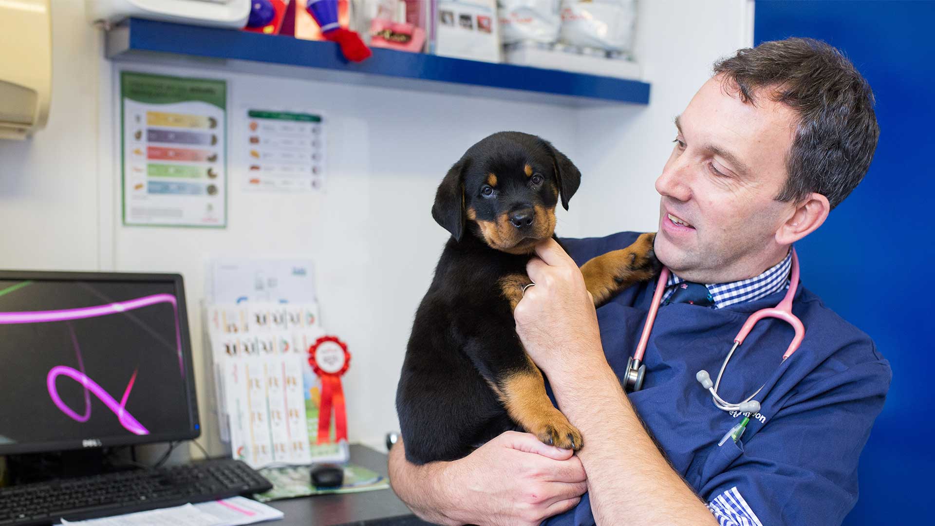 Contact Our Veterinary Team Newport, Gwent Field Vets Fields Vets