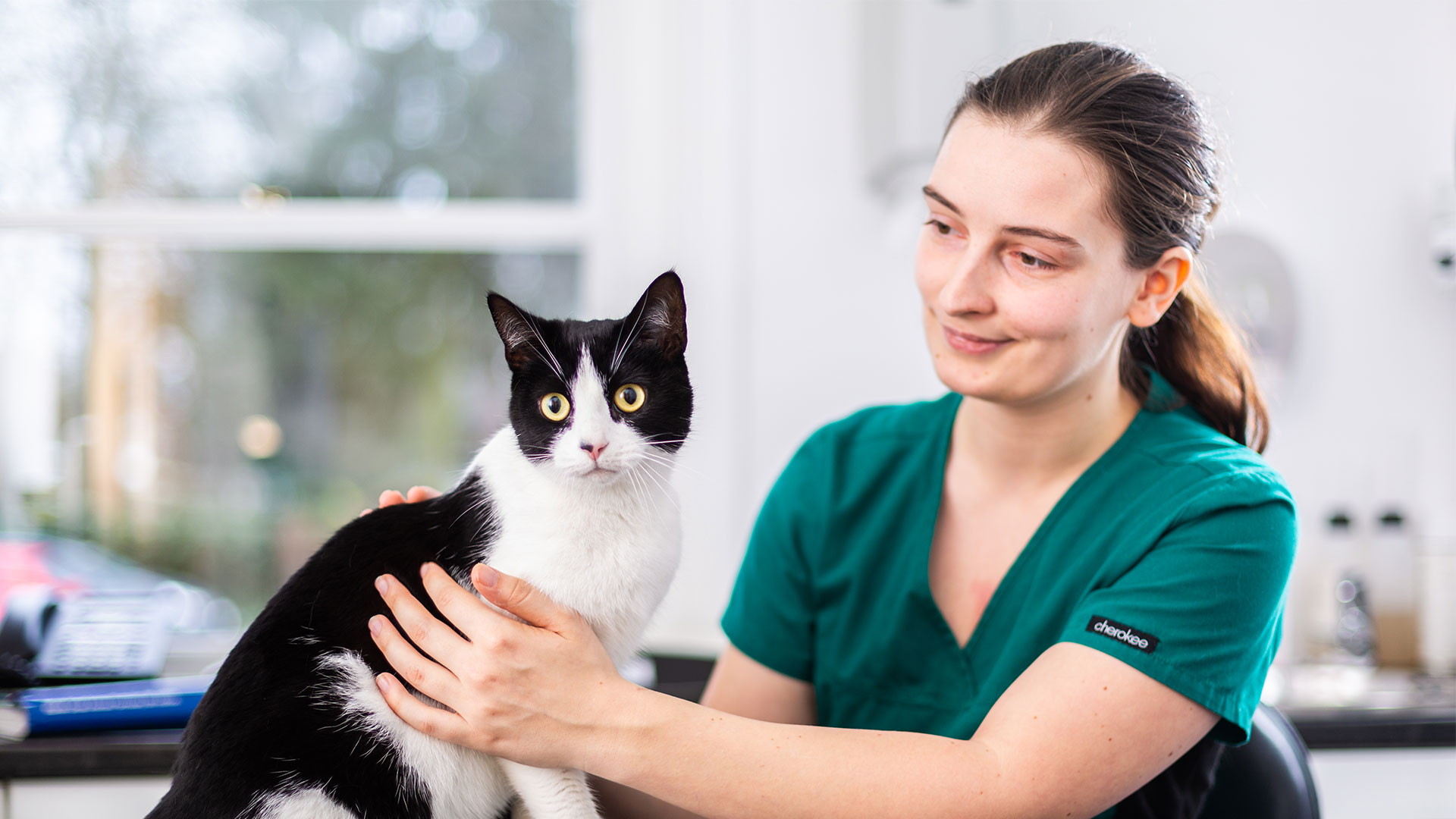Cat-Only Clinics | Our Veterinary Services - Fivelands Veterinary Centre