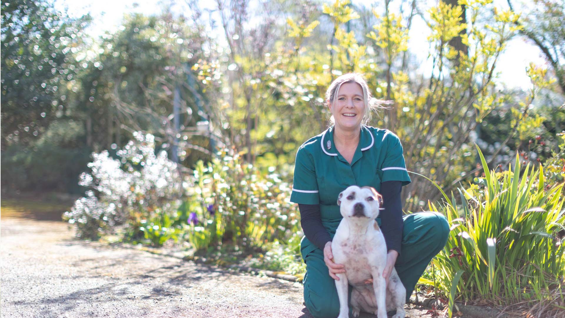 Pet Care in Belfast Pet Advice Garden Lodge Veterinary Clinic