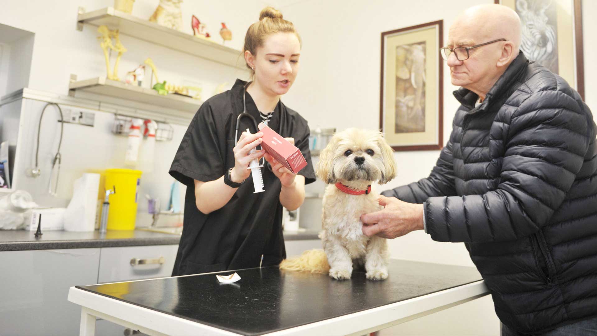 Veterinary Services in Standish Local Vets in Wigan Gilmore Vets