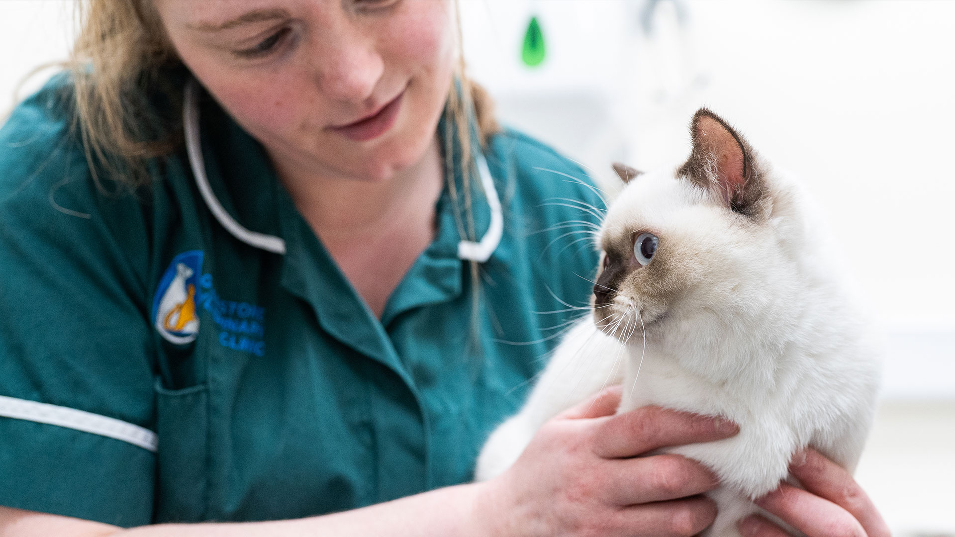 About Us Local Vet Clinic in Telford Gladstone Vets