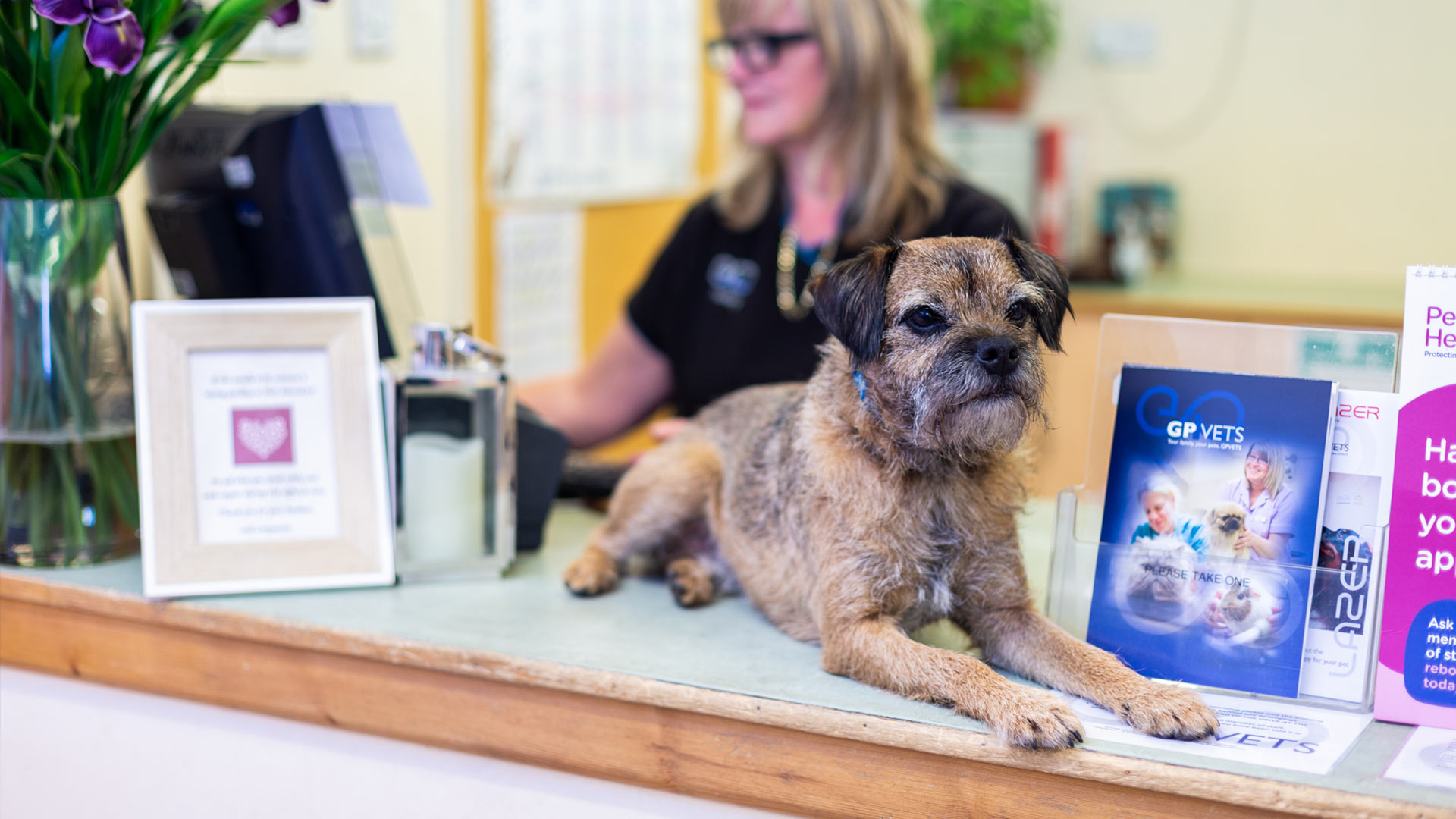 Vet Clinic In And Around Basingstoke About Us Gp Vets