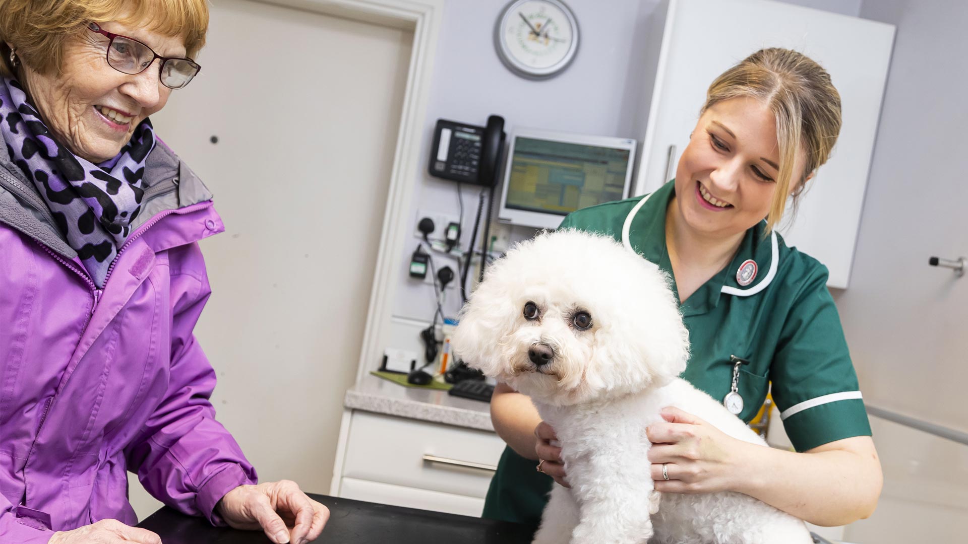 Pet Care Services In Falkirk, Stirling Graham's Road Vets Grahams