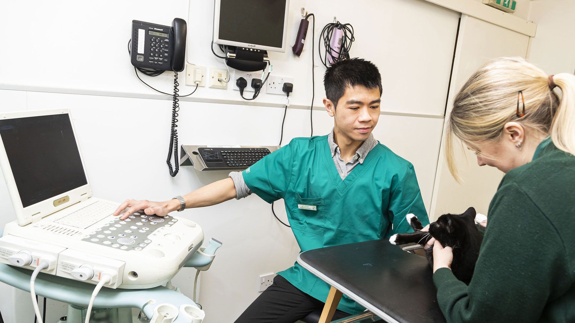 Pet Care in Falkirk Pet Advice Grahams Road Vets Grahams Road Vets