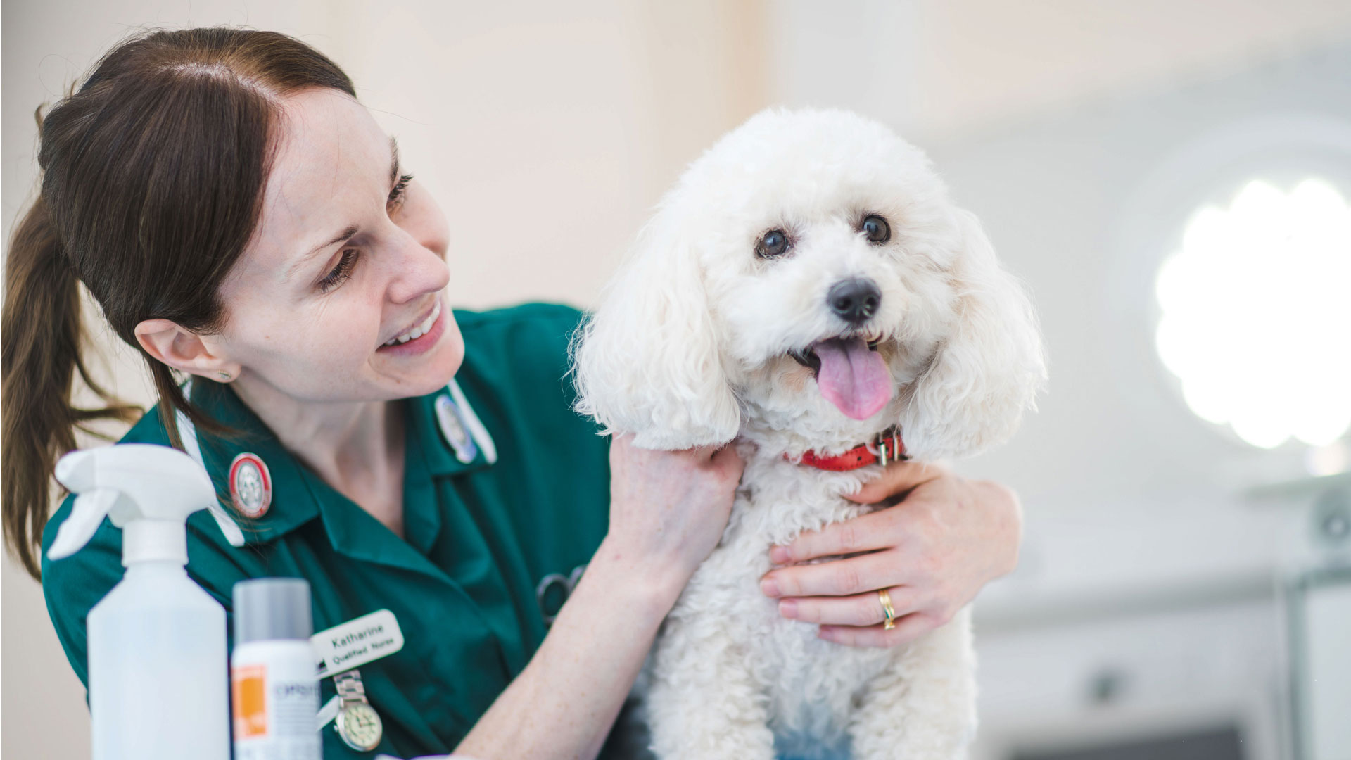 Vets in Chester and Wrexham | Established Chester Vets - Green Lane Vets