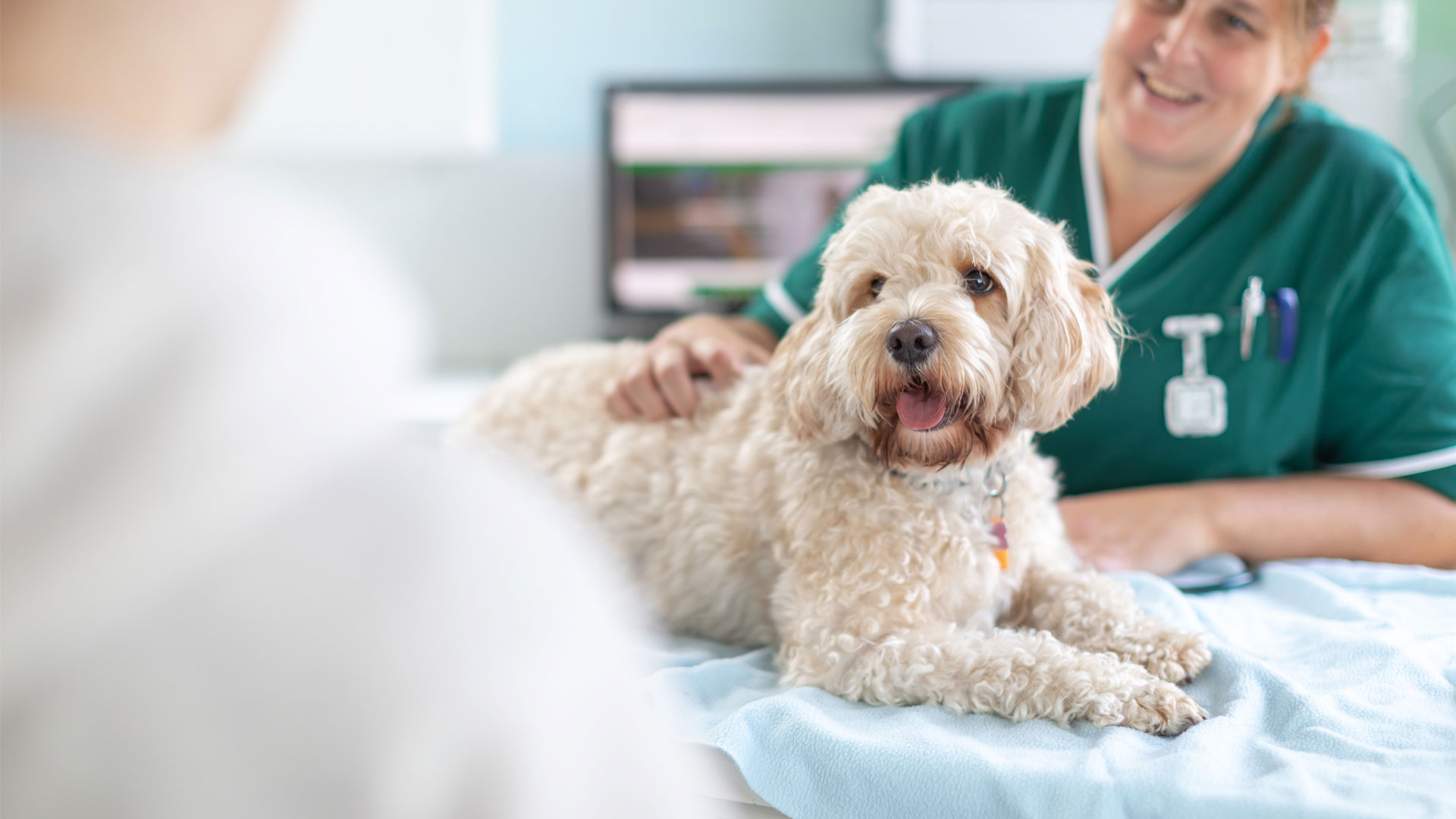 Veterinary Services Local Vets in Chester & Wrexham Green Lane Vets