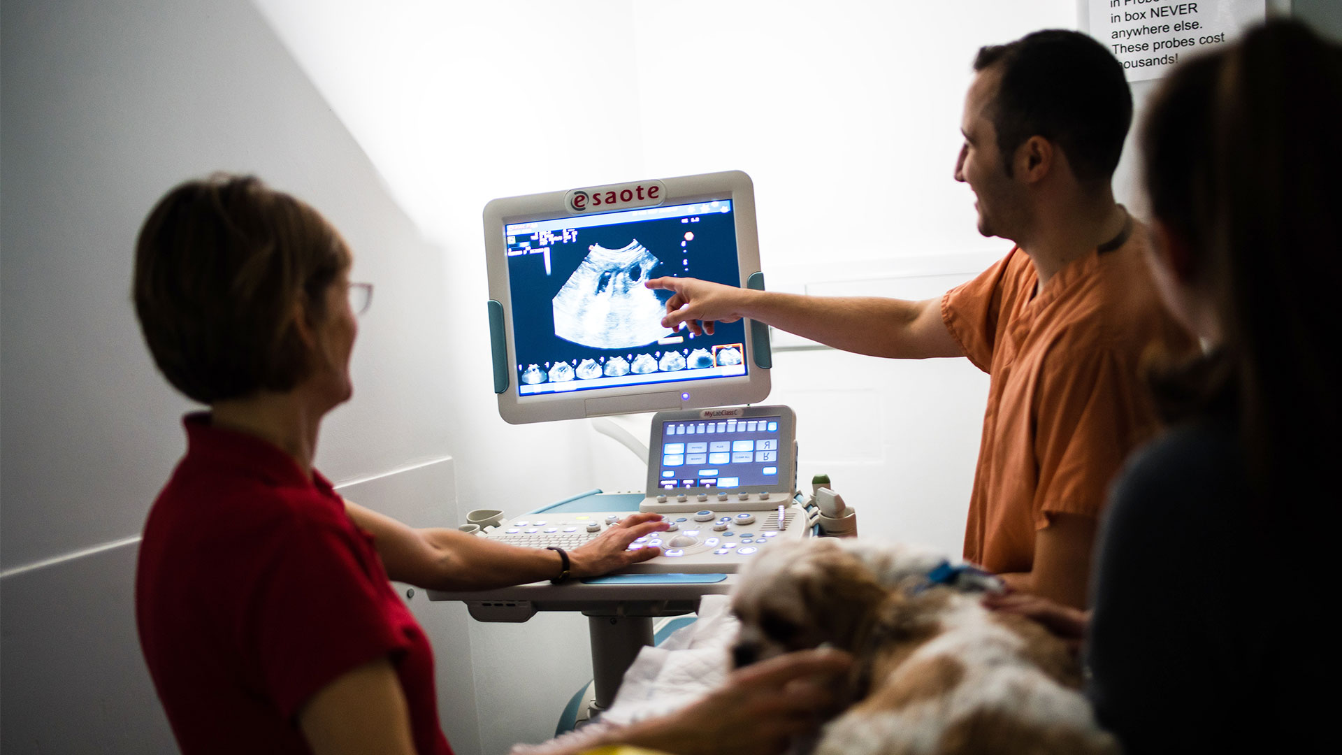 Referrals Grove Lodge Vets