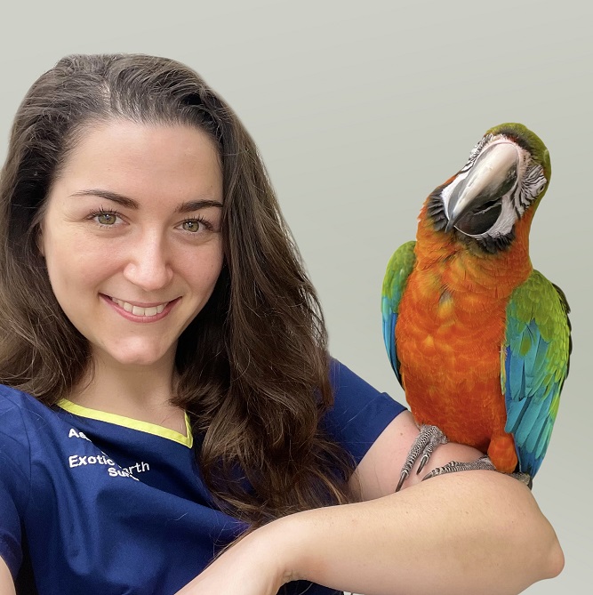 Dr Ashton Hollwarth - Exotic Veterinary Surgeon