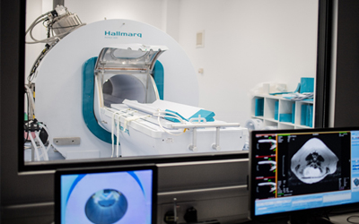 how much does an mri scan cost for a dog uk