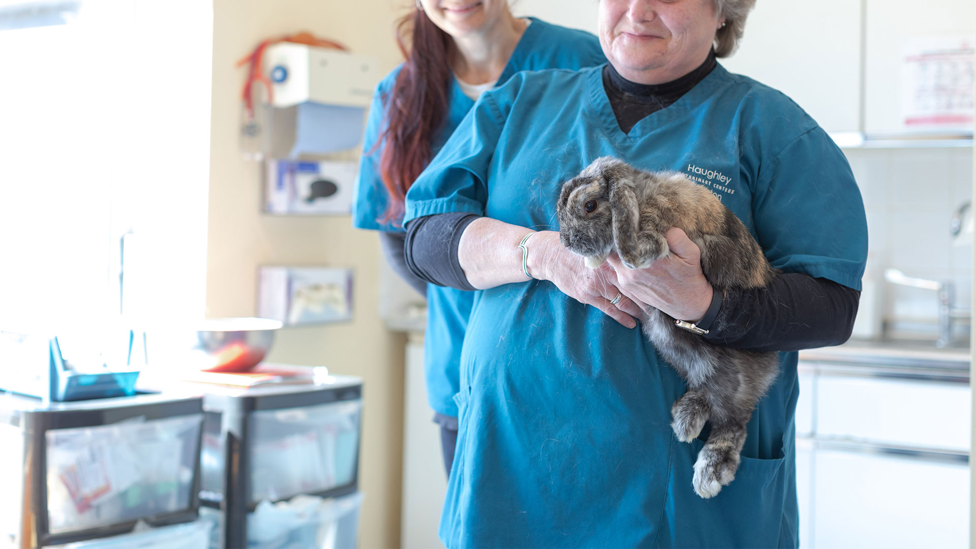 Rabbit Advice from Local Vets Haughley & Thurston Haughley Vets