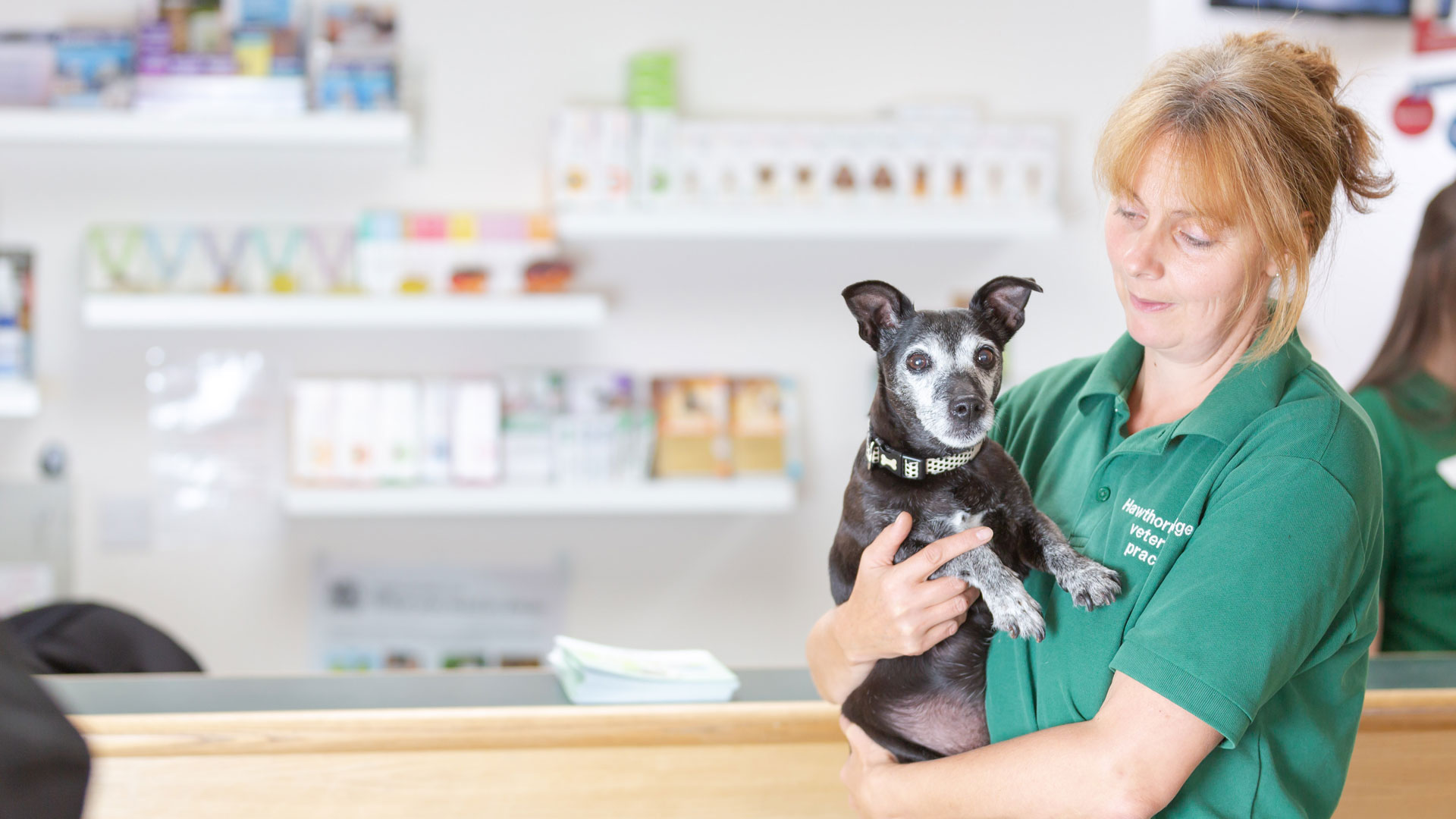 Referrals Local Vets in Banbury Hawthorne Lodge Vets