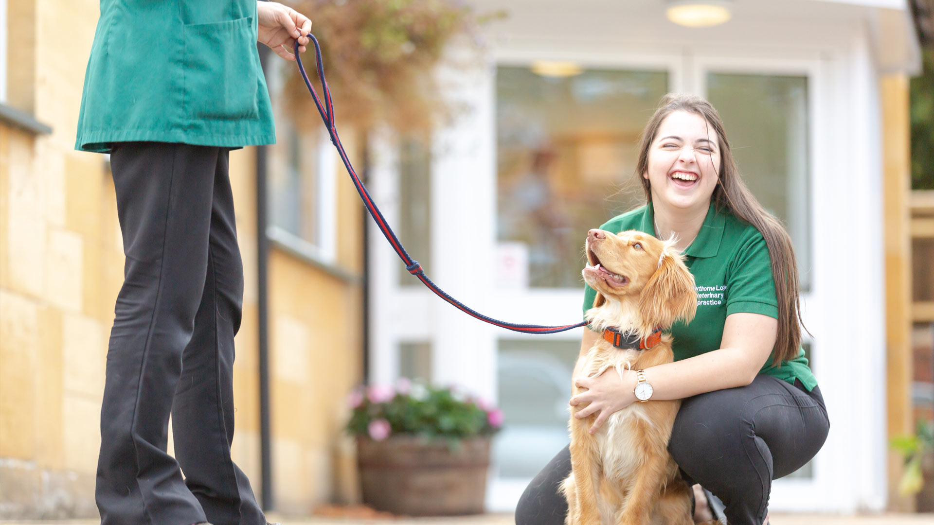 About us Local Vets in Banbury Hawthorne Lodge Vets