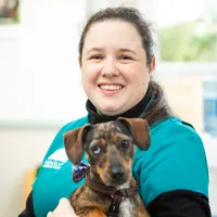 Meet the Team | Local Vets in Hailsham and Polegate - Highcroft (Hailsham)