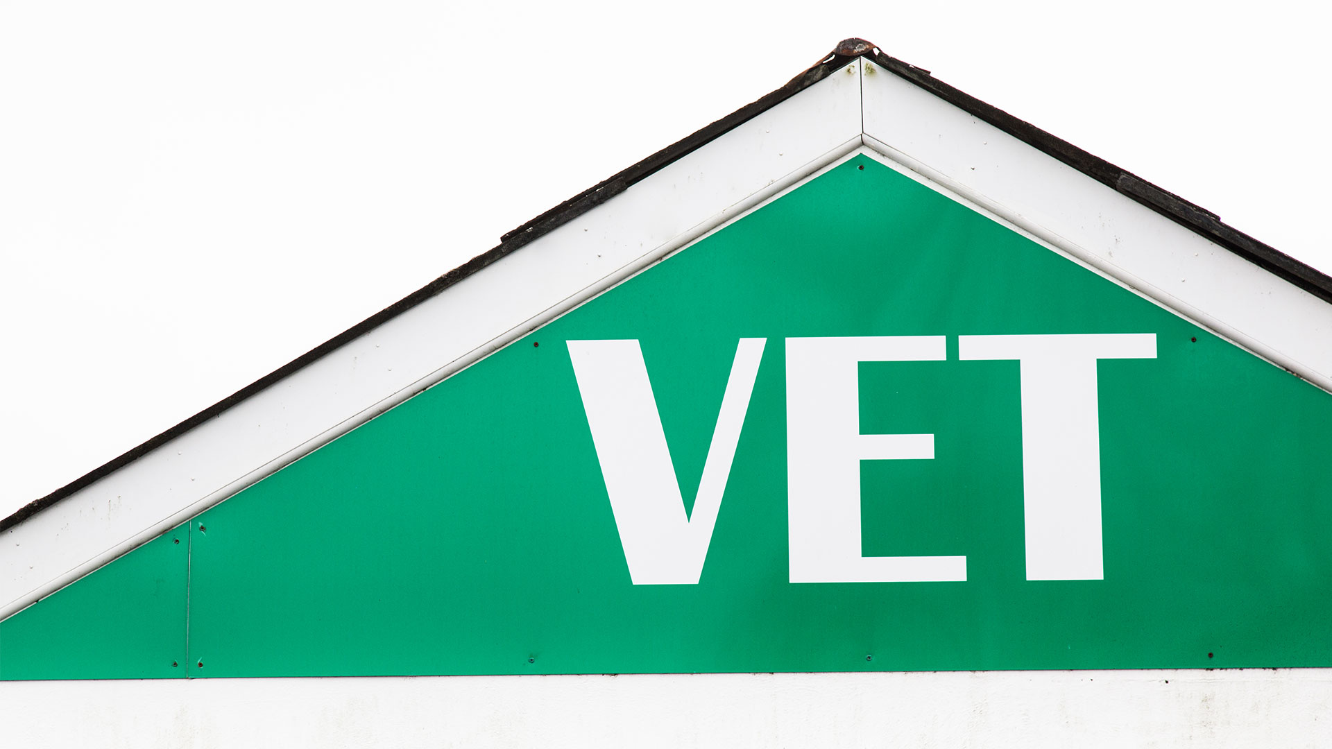 About Us Local Vets in Truro Highertown Vet