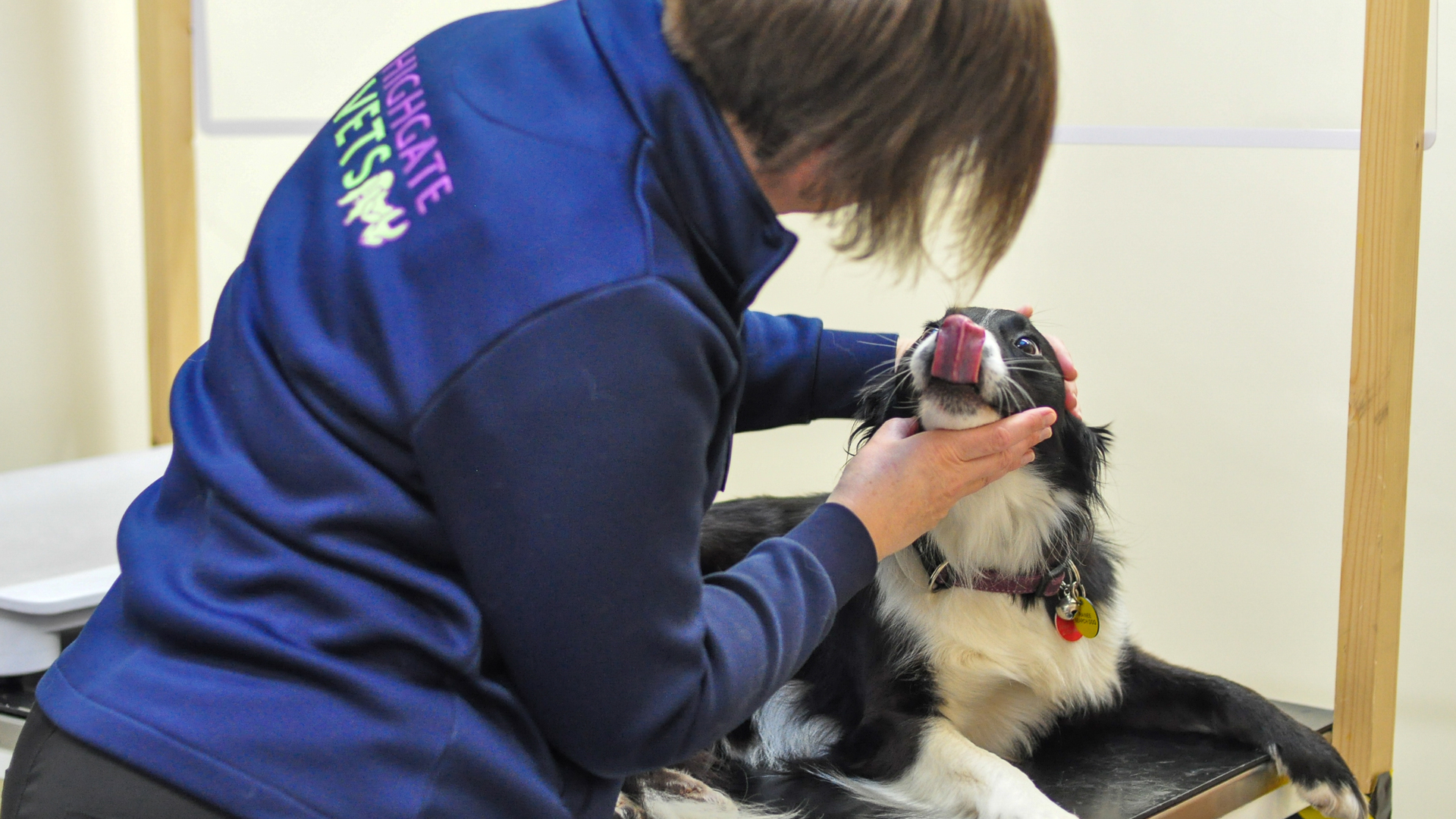 Vacancies Local Vets in Kendal, Cumbria Highgate Vets