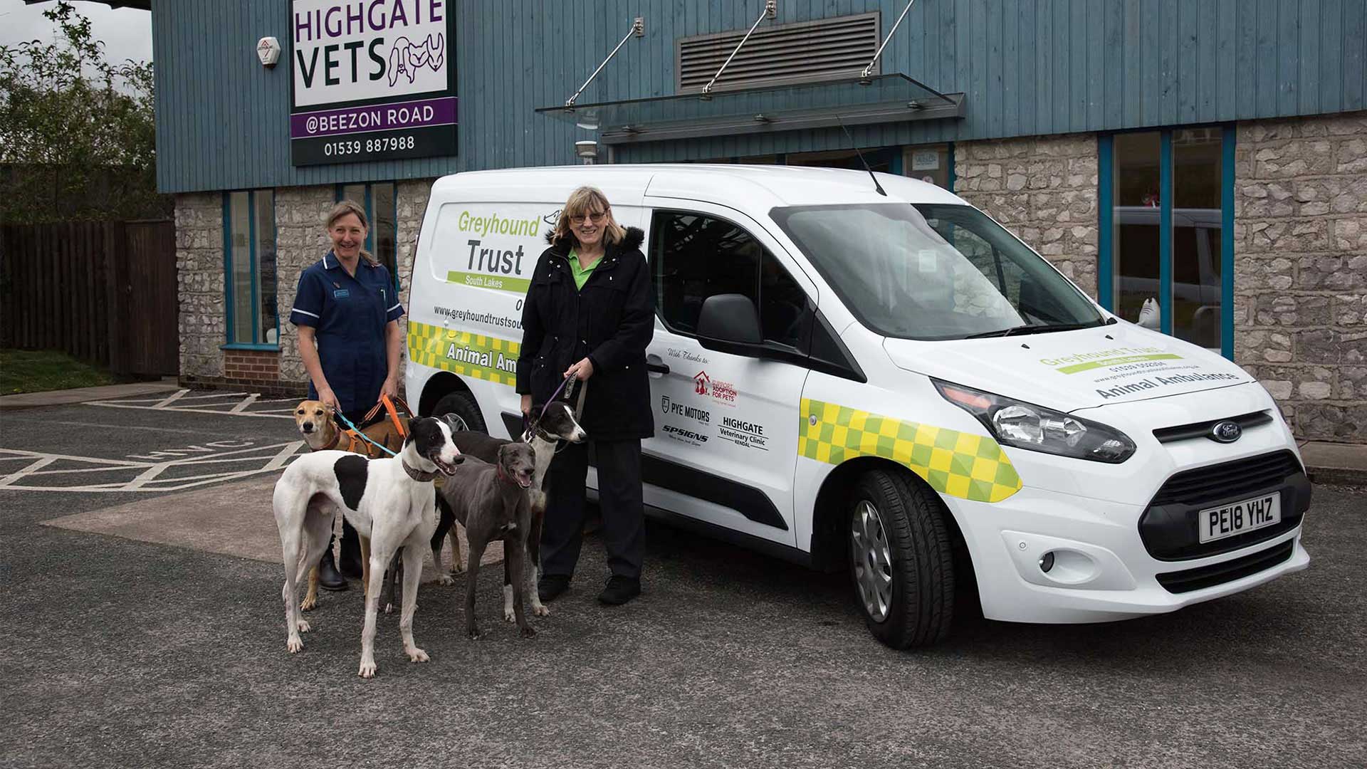 Pet Travel | Advice from Local Vets in Kendal, Cumbria - Highgate Vets