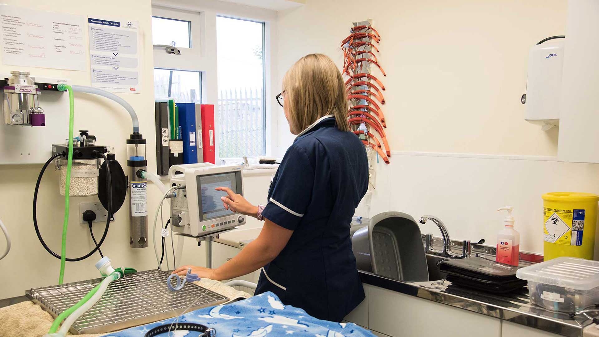 Facilities Local Vets in Kendal, Cumbria Highgate Vets