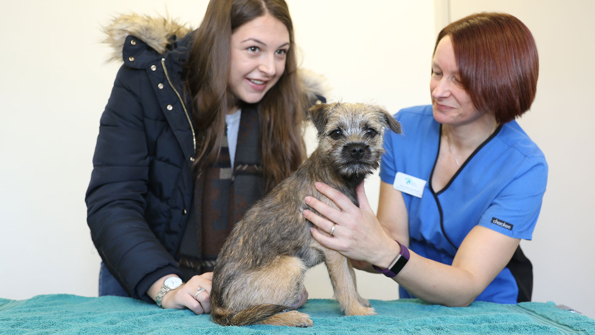 Neutering Local Vets in BurtononTrent Highland Vet Clinic