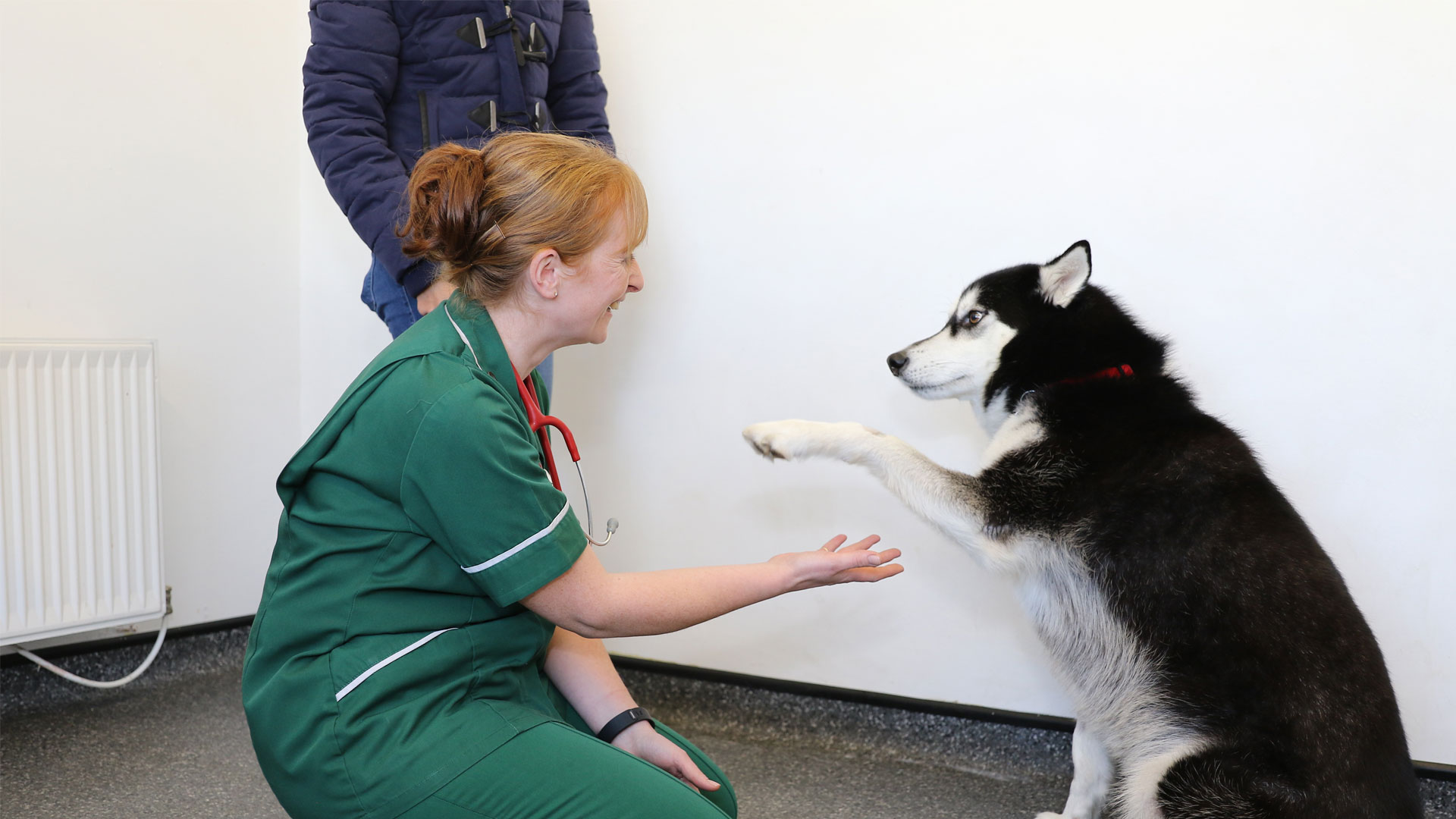 Contact Us Local Vets in BurtononTrent Highland Vet Clinic