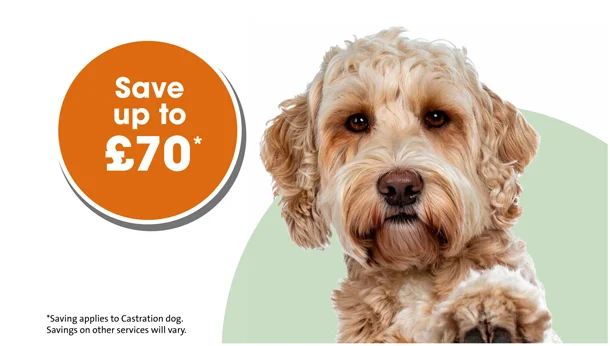 Dog pricing savings up to £70