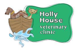 shepherd collie cross