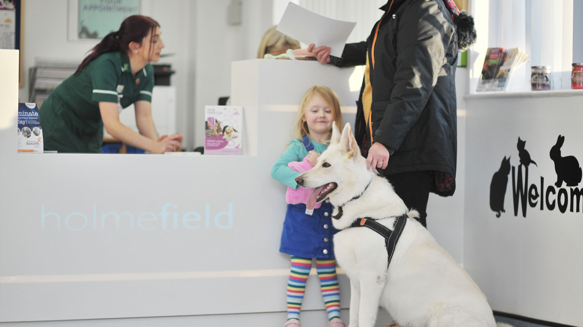 Vet Services Local Vets in North Yorkshire & Leeds Holmefield Vets