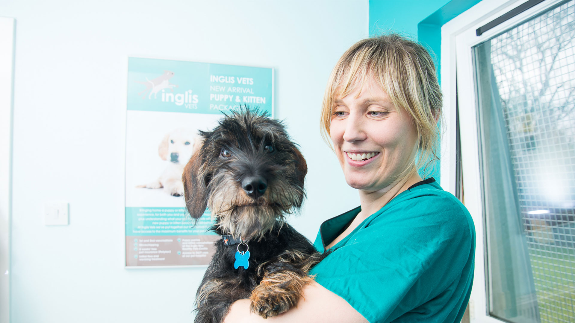 Care Plans Vets in Dunfermline & Surrounding Area Inglis Vets