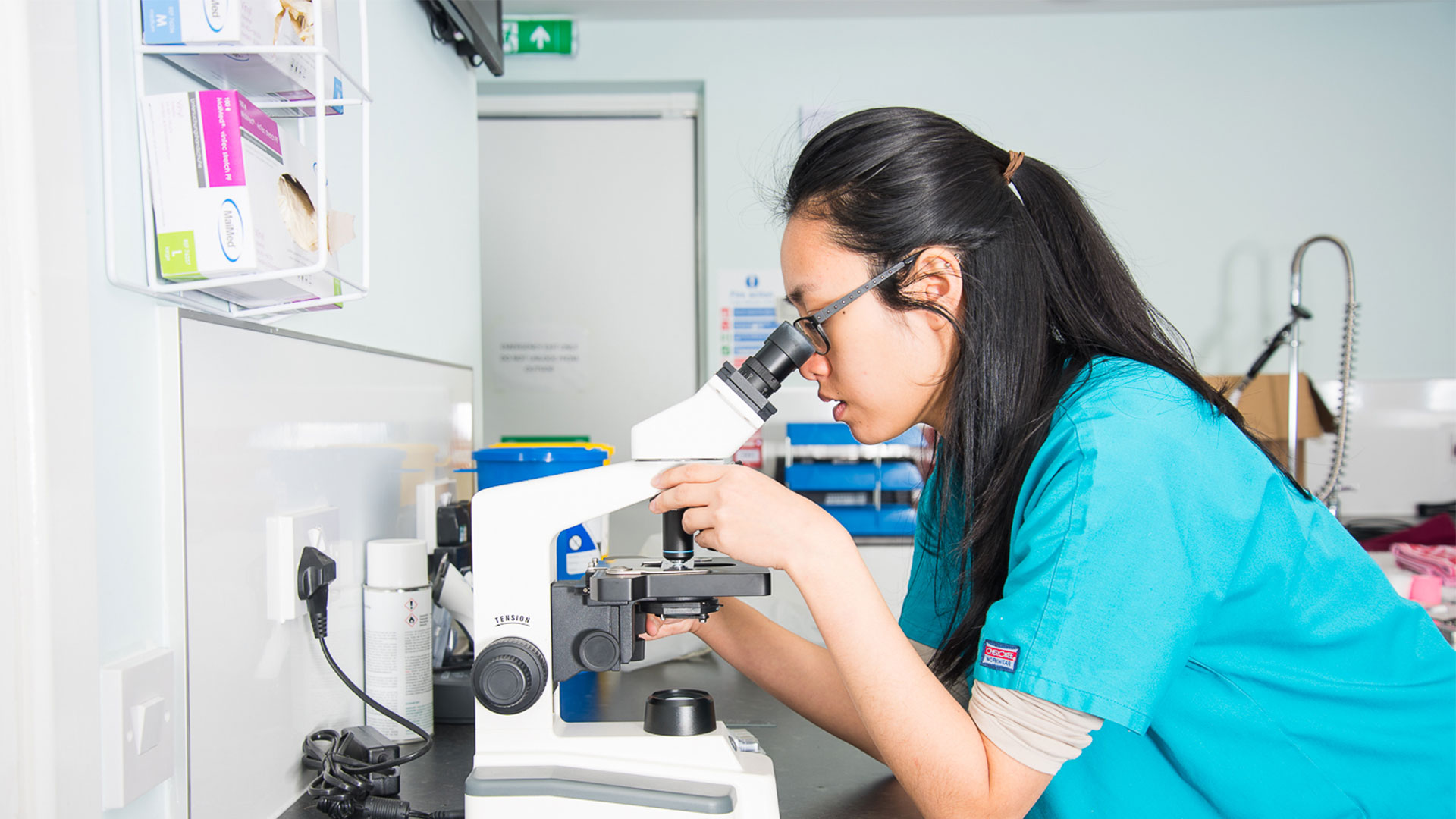 Vacancies Vet Jobs in Dunfermline Inglis Vets