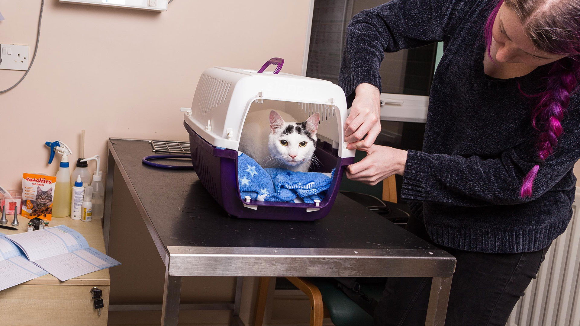 Pet Vaccinations in Onchan &amp; Ramsey Isle of Man Arg