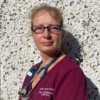 Lynn Sheehy - Head Nurse
