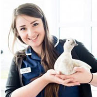 Meet The Team | Local Vets in and around Cornwall - Kernow Vet Group