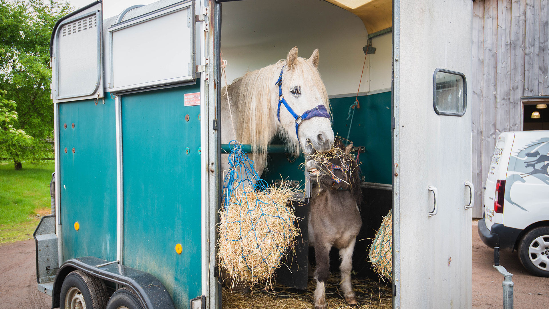 The Healthy Horse Club Cliffe Equine Cliffe Equine