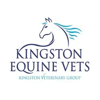 Meet the Team | Equine Vets in Sherborne, Dorset - Kingston Equine Vets