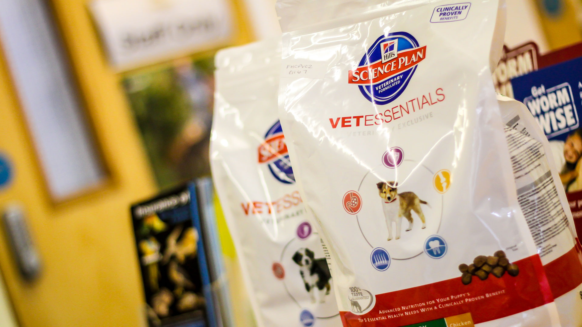 Feeding Your Cat and Dog Local Vets Kingston Vets