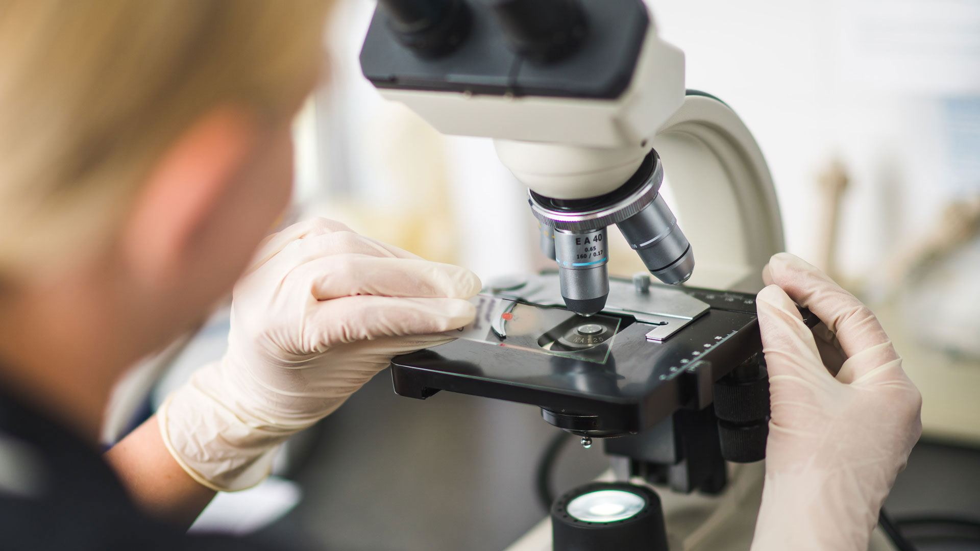 Vet Services in Hull Local Vets Kingston Vets