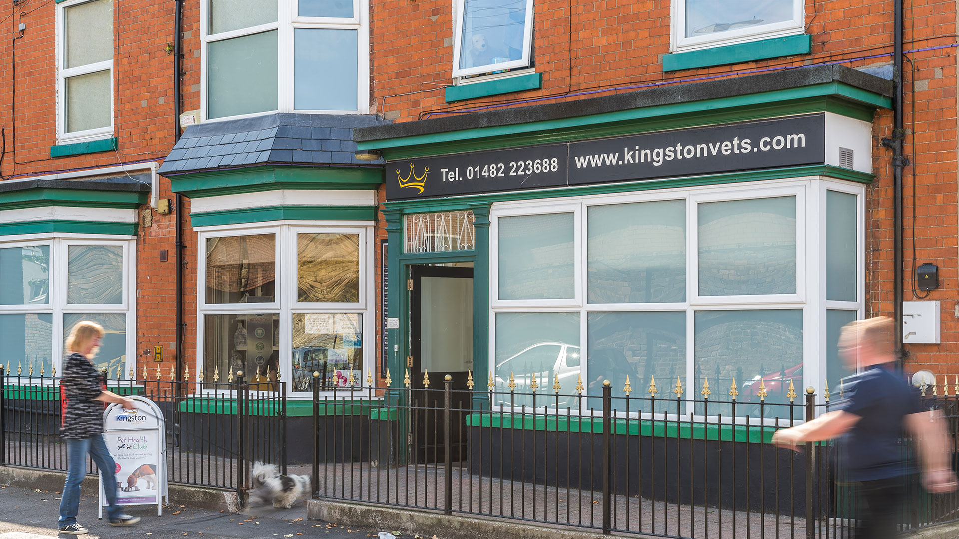 About Kingston Hull Vets Your Local Vet Kingston Vets