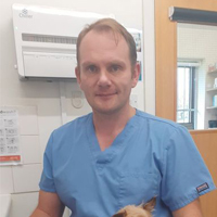 Modestas Tverskis - Veterinary Surgeon