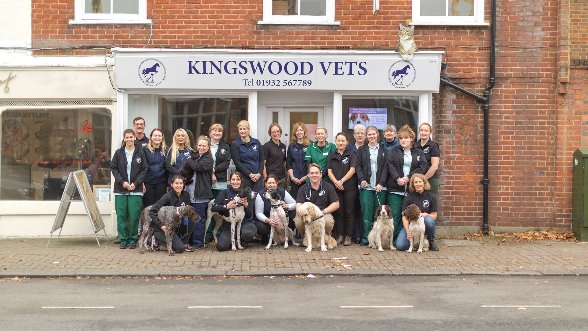 About Kingswood Vets Small Animal Vets in Surrey Kingswood Vets