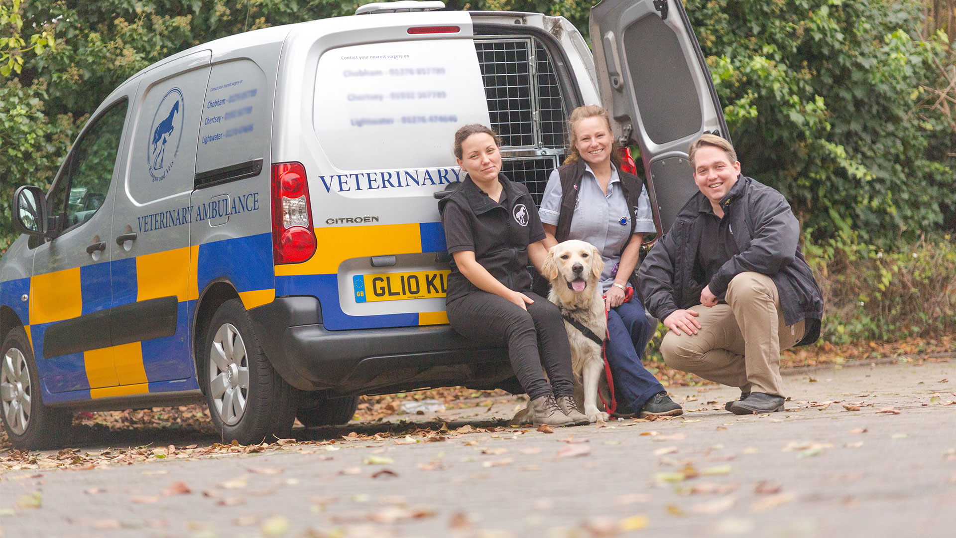Kingswood Vets Caring for the domestic pets of Surrey Kingswood Vets