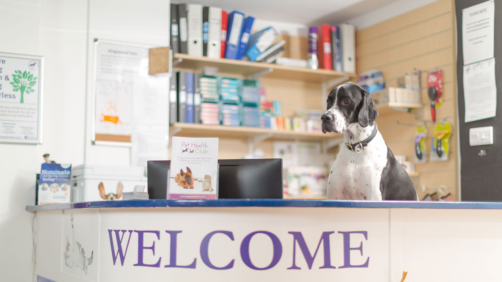 Prices & Payment at Kingswood Vets Small Animal & Equine Vets in