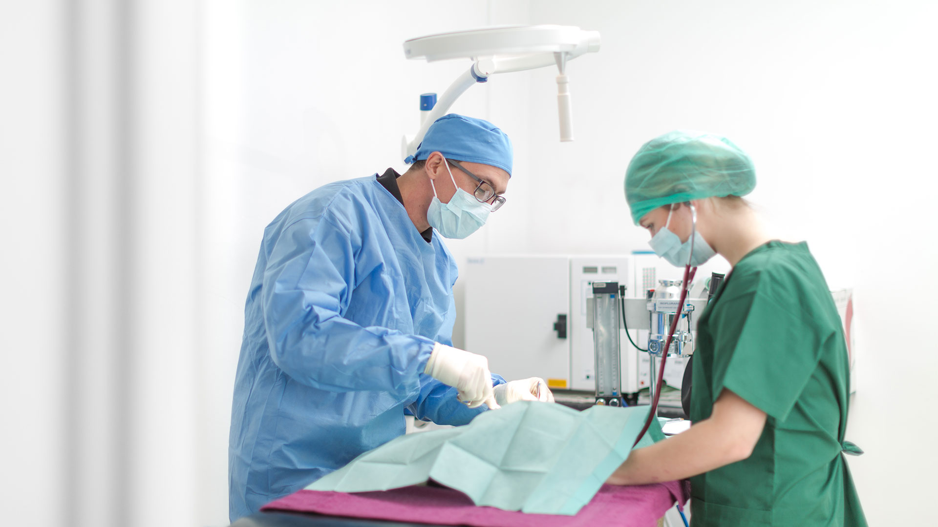 Facilites Available at Kingswood Vets Dedicated Veterinary Advice in