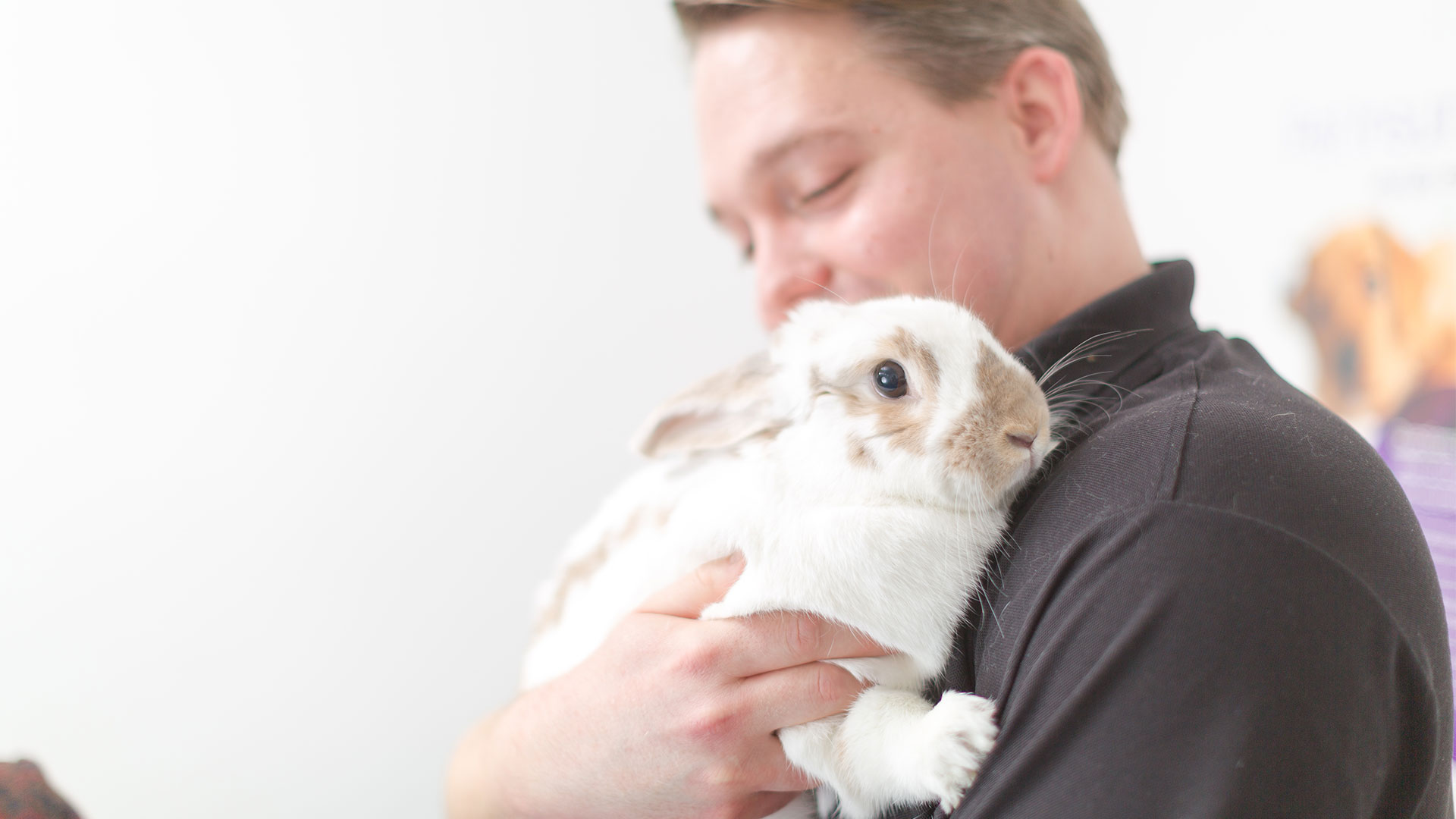 Client Charter Kingswood Vets Small Animal & Equine Vets in Surrey