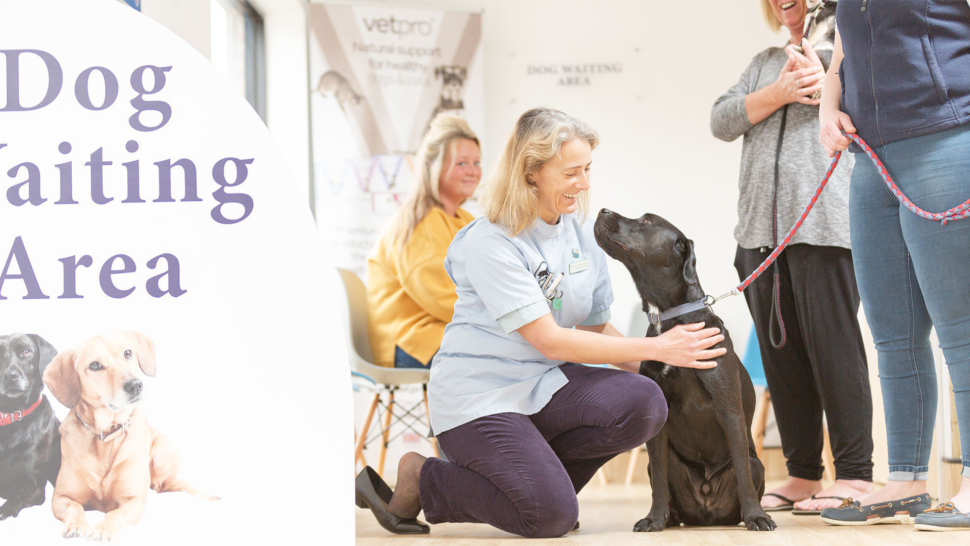 About Kingswood Vets Small Animal Vets in Surrey Kingswood Vets