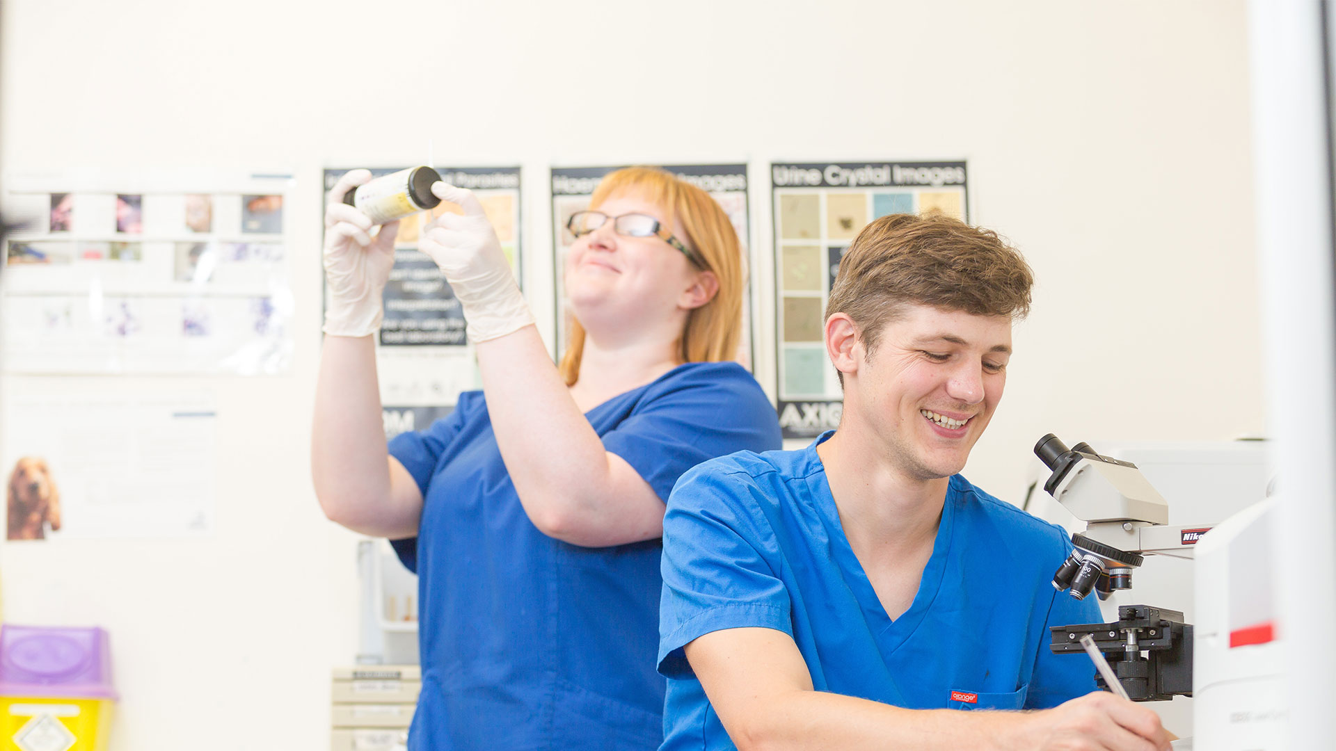 About Kirks Vets Vets in Grantham and Sleaford Kirks Vets